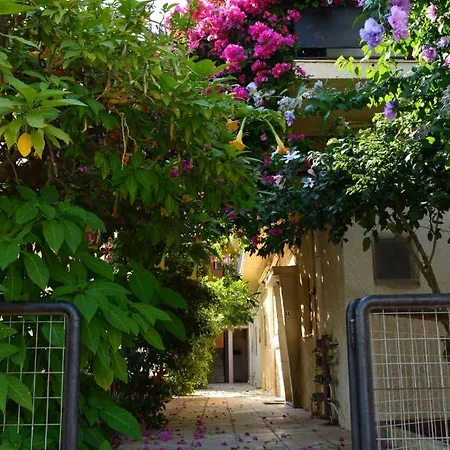 Roula's 2 Apartment *